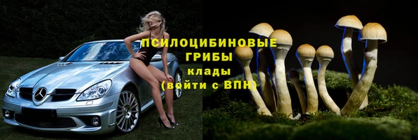 стаф Алексеевка
