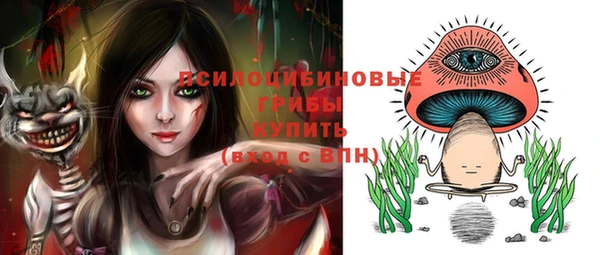 стаф Алексеевка