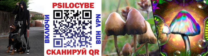 Галлюциногенные грибы Magic Shrooms  blacksprut ССЫЛКА  Волжский 